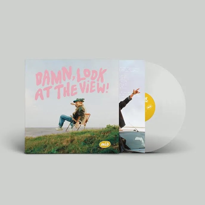Album artwork for Damn, Look at the View! by Martin Luke Brown