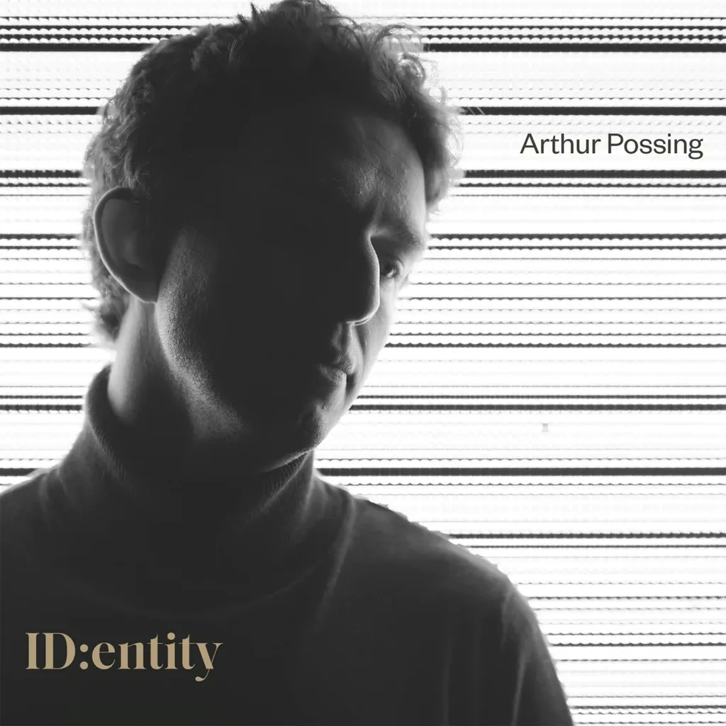 Album artwork for ID:entity by Arthur Possing