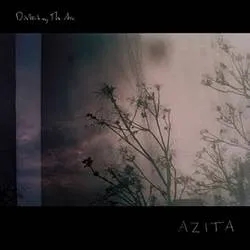 Album artwork for Disturbing The Air by Azita