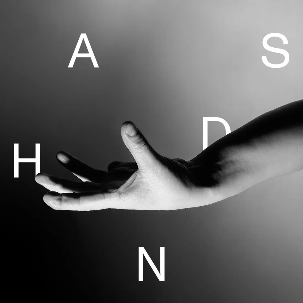 Album artwork for Hands by Wallis Bird