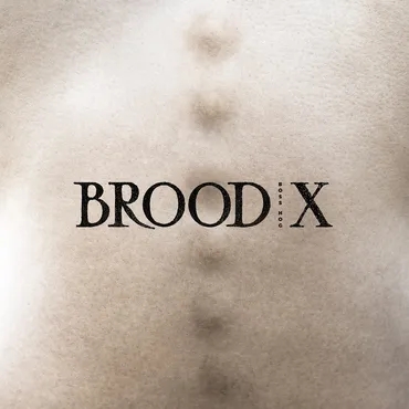 Album artwork for Brood X by Boss Hog