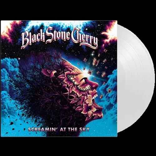 Album artwork for Screamin' At The Sky by Black Stone Cherry