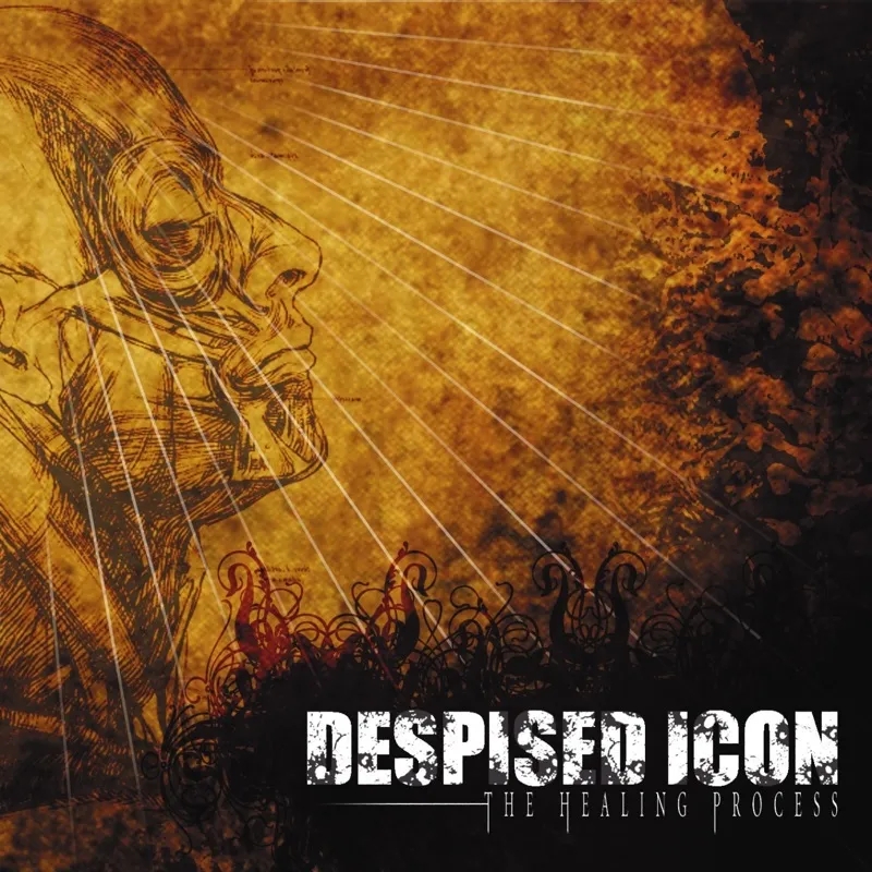 Album artwork for The Healing Process (Alternate Mix - Re-issue) by Despised Icon