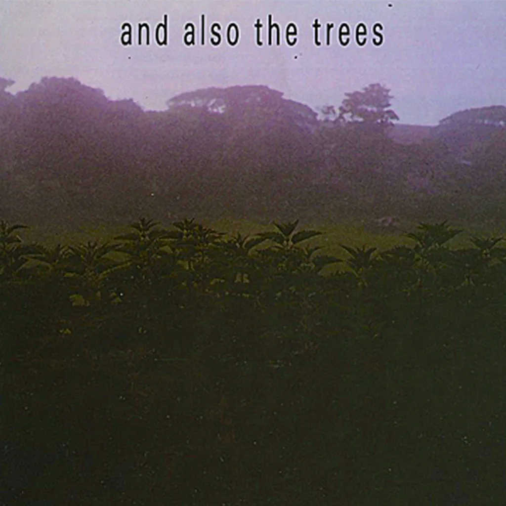 Album artwork for And Also The Trees by And Also The Trees