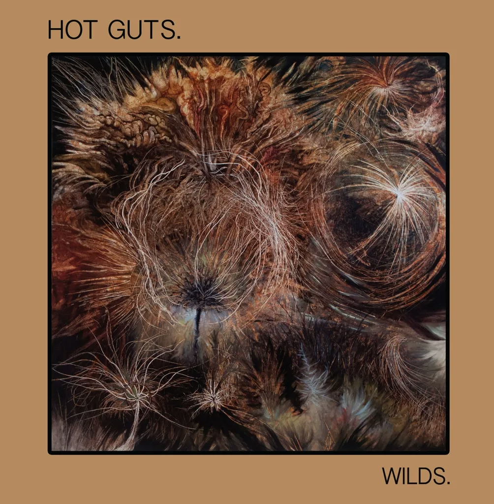 Album artwork for Wilds by Hot Guts