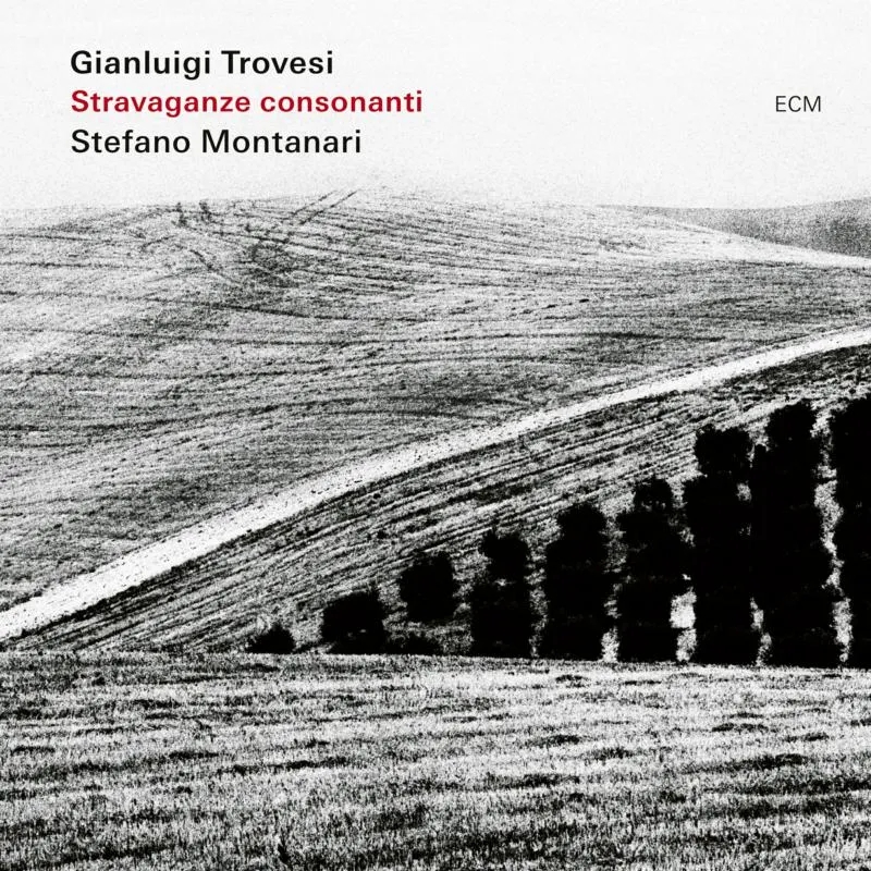 Album artwork for Stravaganze Consonanti by Gianluigi Trovesi, Stefano Montanari