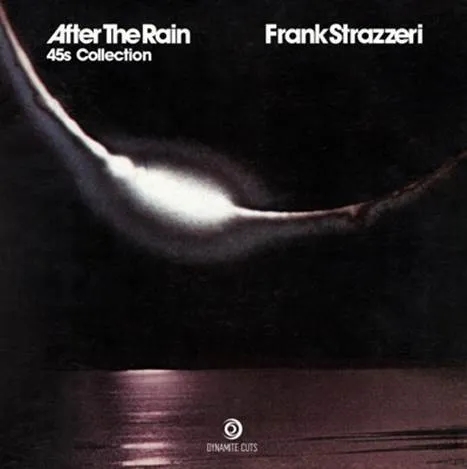 Album artwork for After the Rain by Frank Stazzeri