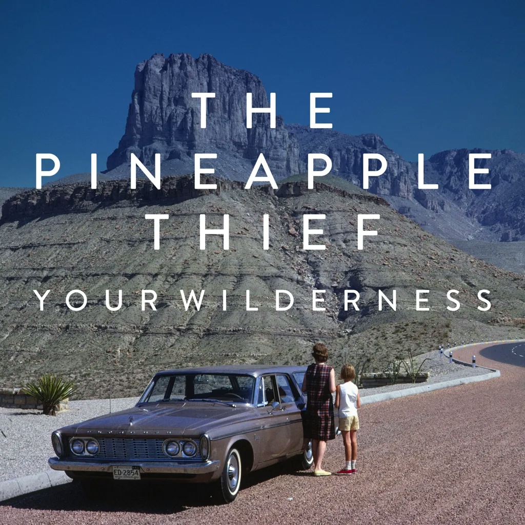 Album artwork for Your Wilderness by The Pineapple Thief