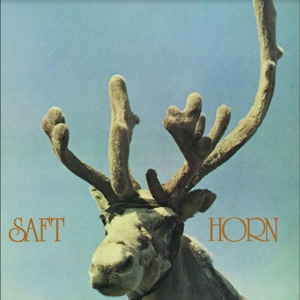Album artwork for Horn by Saft