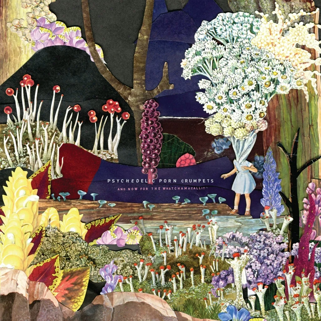 Album artwork for And Now For The Whatchamacallit by Psychedelic Porn Crumpets