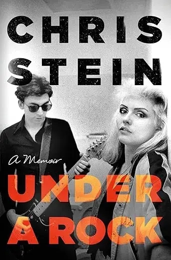 Album artwork for Under A Rock by Chris Stein