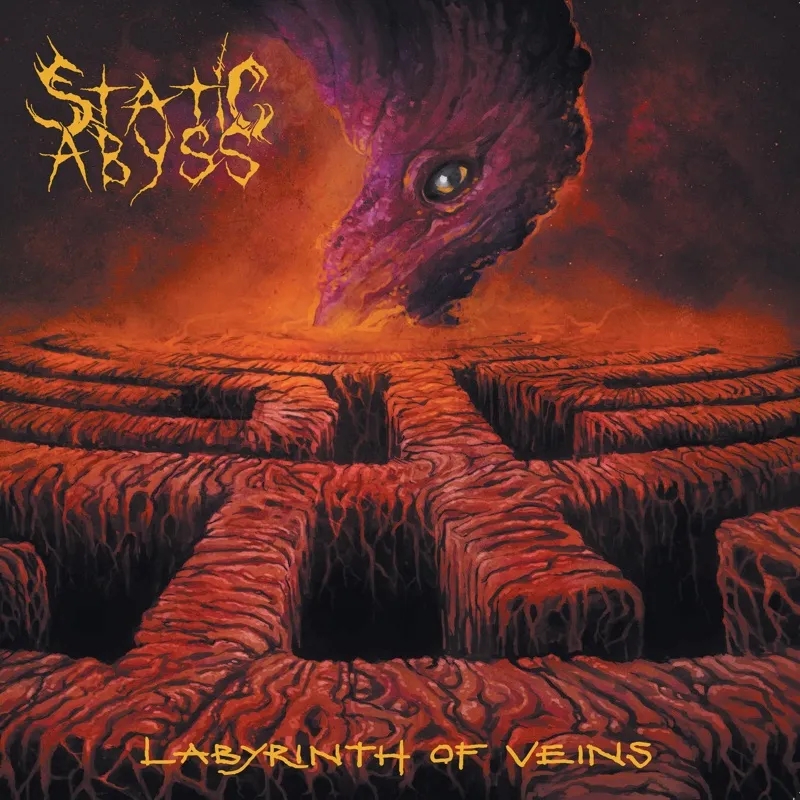 Album artwork for Labyrinth Of Veins by Static Abyss
