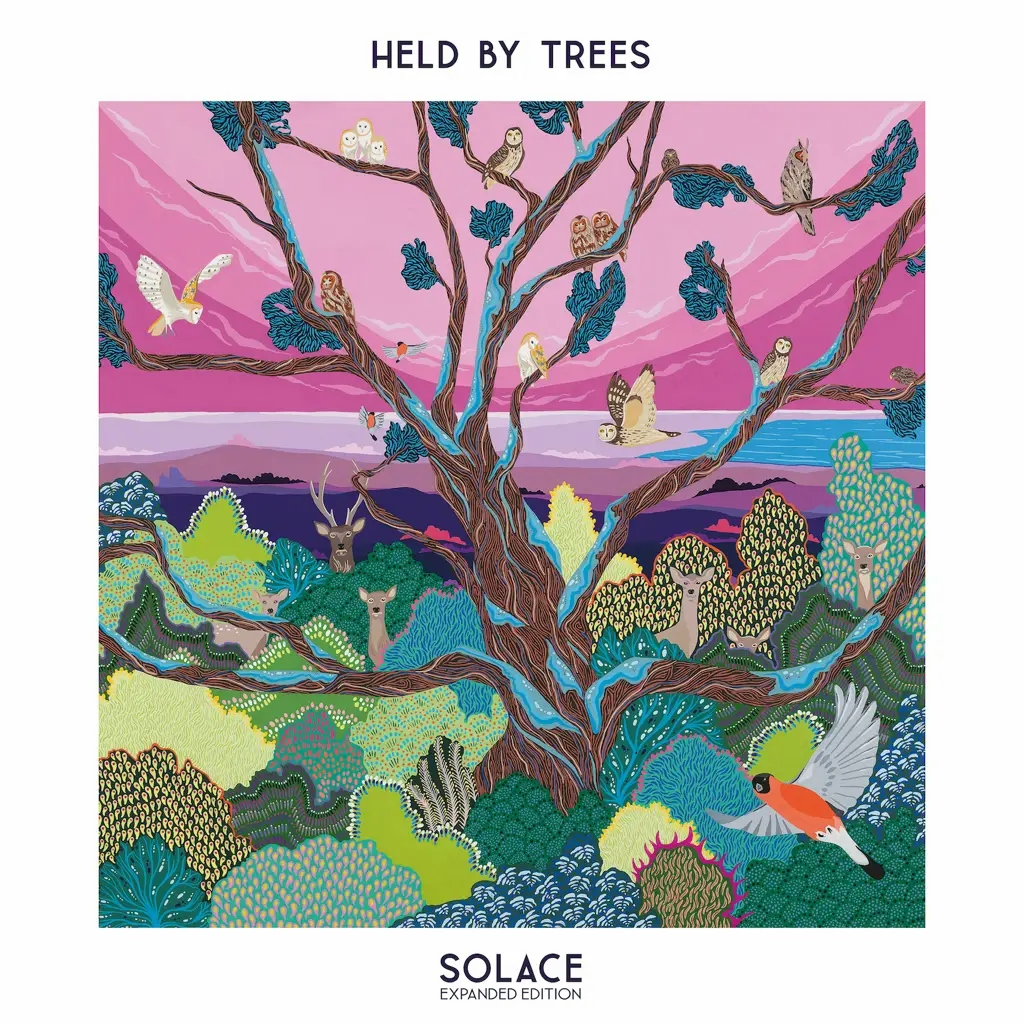 Album artwork for Solace (Expanded Edition) - RSD 2024 by Held By Trees