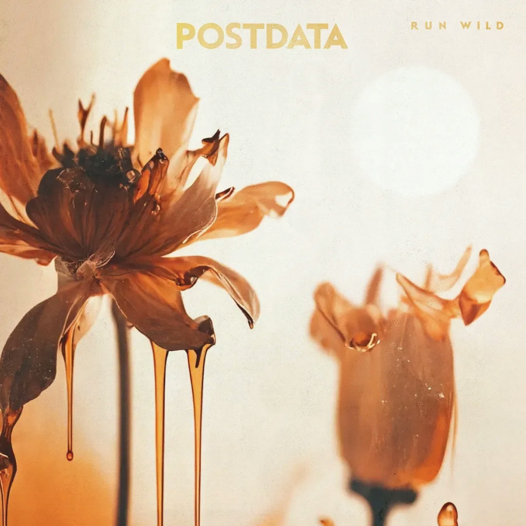 Album artwork for Run Wild by Postdata