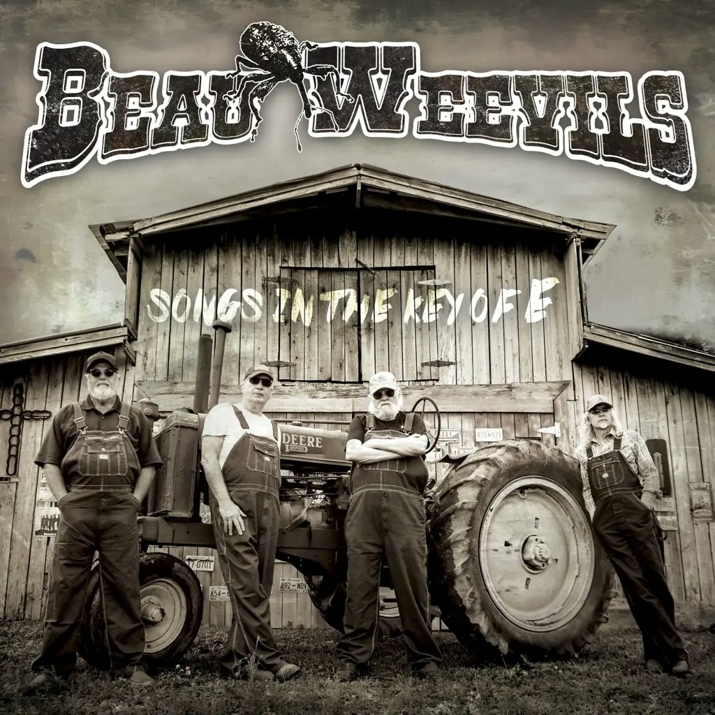 Album artwork for Songs In The Key Of E by Beau Weevils