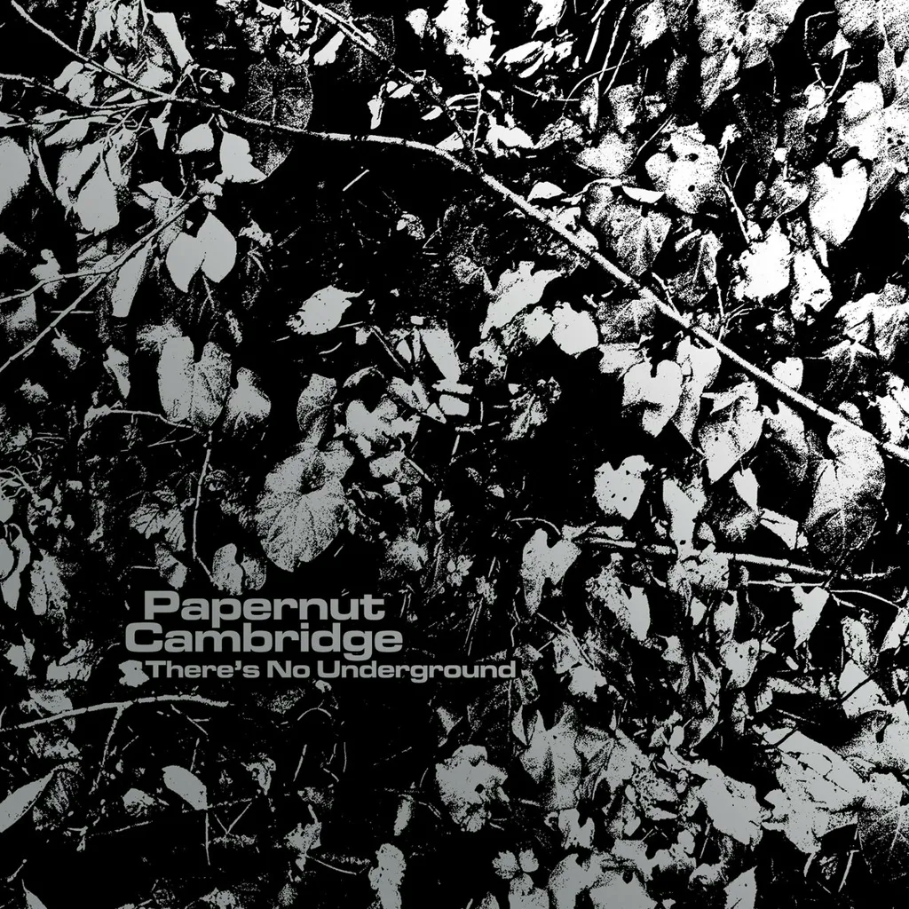 Album artwork for There’s No Underground by Papernut Cambridge