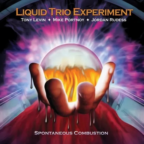 Album artwork for Spontaneous Combustion by Liquid Trio Experiment