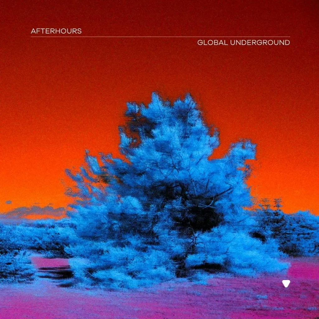 Album artwork for Global Underground: Afterhours 9 by Various