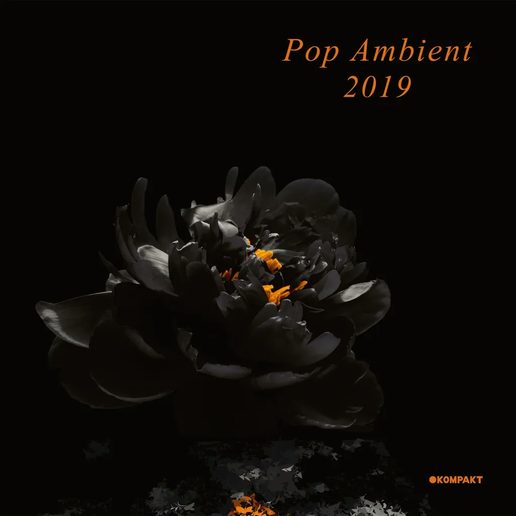 Album artwork for Pop Ambient 2019 by Various