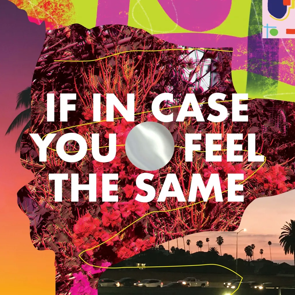 Album artwork for If In Case You Feel The Same by Thad Cockrell