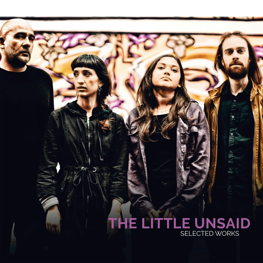 Album artwork for Selected Works by The Little Unsaid