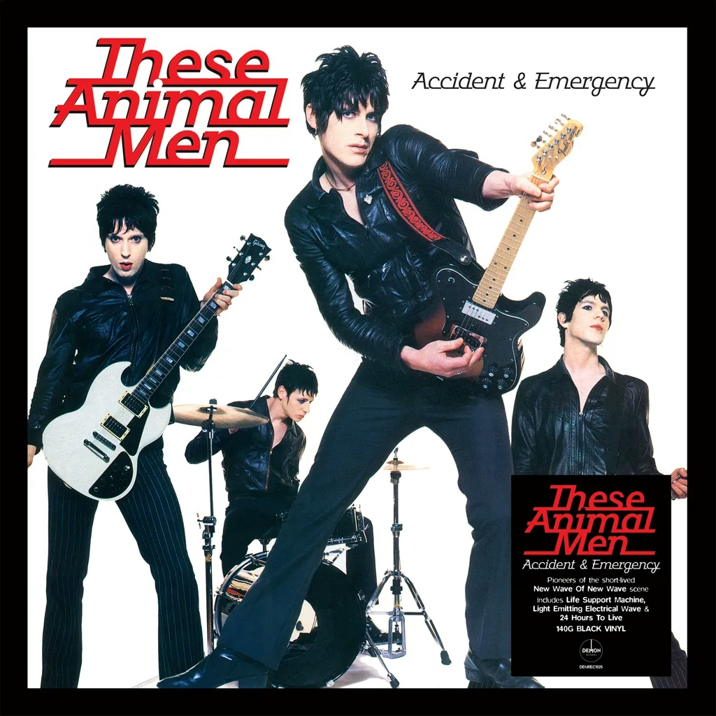 Album artwork for Accident and Emergency by These Animal Men 