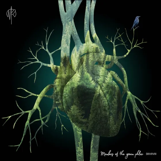 Album artwork for Members Of The Green Phlox by  Martin Rubashov