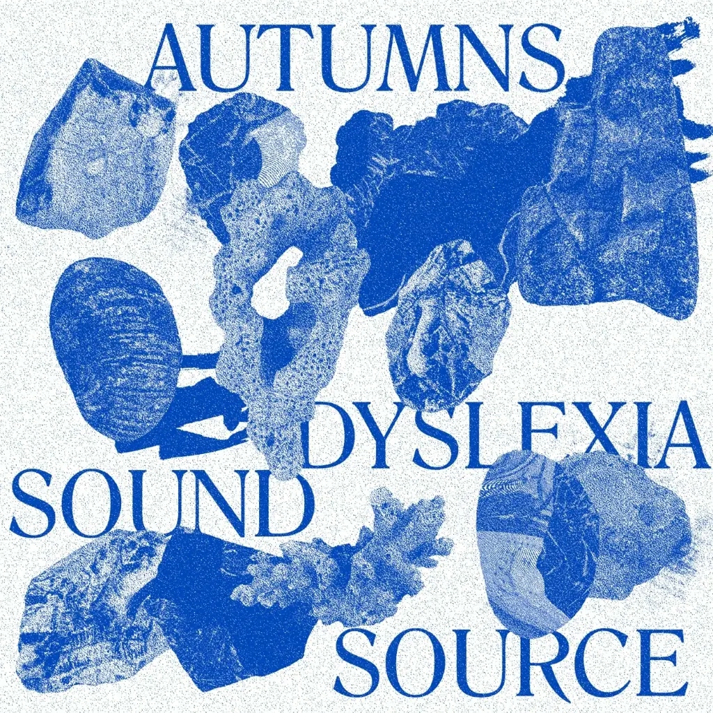 Album artwork for Dyslexia Sound Source by Autumns