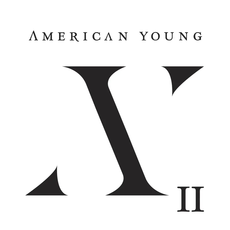Album artwork for AYII by American Young