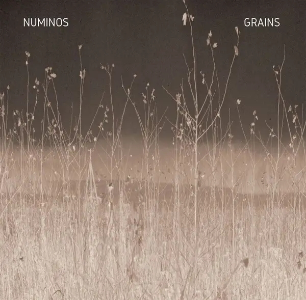 Album artwork for Grains by Numinos