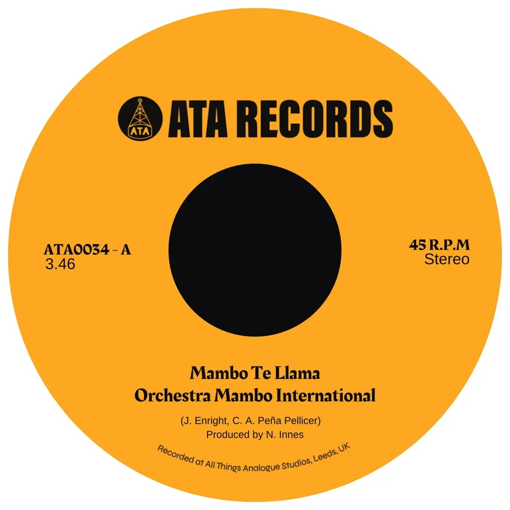 Album artwork for Mambo Te Llama by Orchestra Mambo International