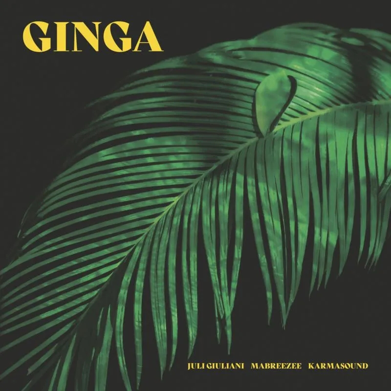 Album artwork for Ginga by Juli Giuliani