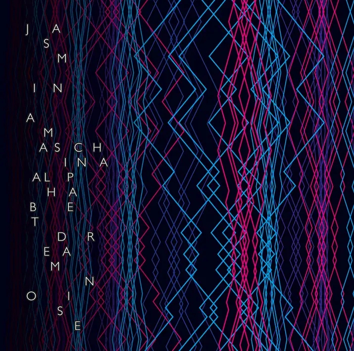 Album artwork for Alphabet Dream Noise by Jasmina Maschina
