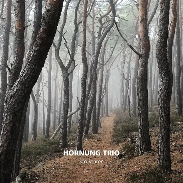 Album artwork for Strukturen by Hornung Trio