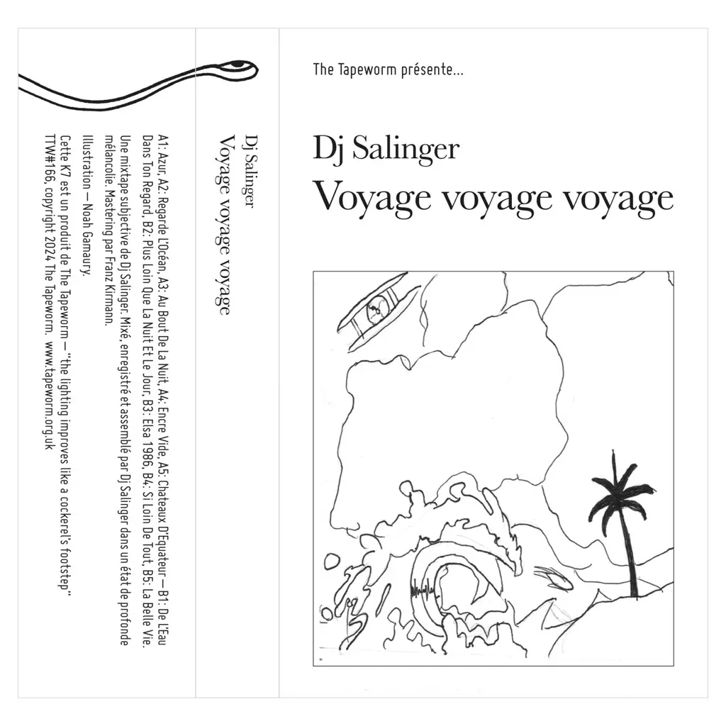 Album artwork for Voyage Voyage Voyage by DJ Salinger