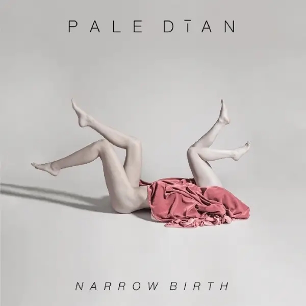 Album artwork for Narrow Birth by Pale Dian