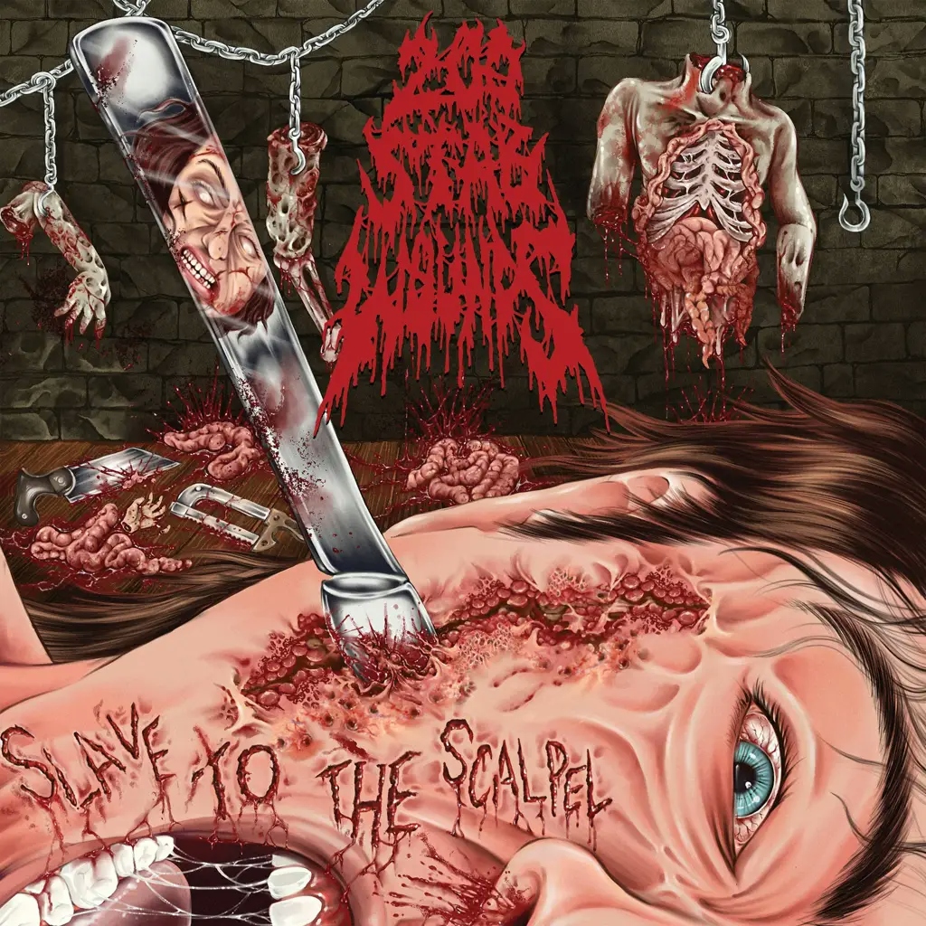 Album artwork for Slave to the Scalpel by 200 Stab Wounds