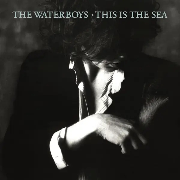 Album artwork for This is the Sea by Waterboys