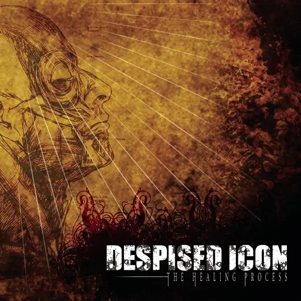 Album artwork for The Healing Process by Despised Icon