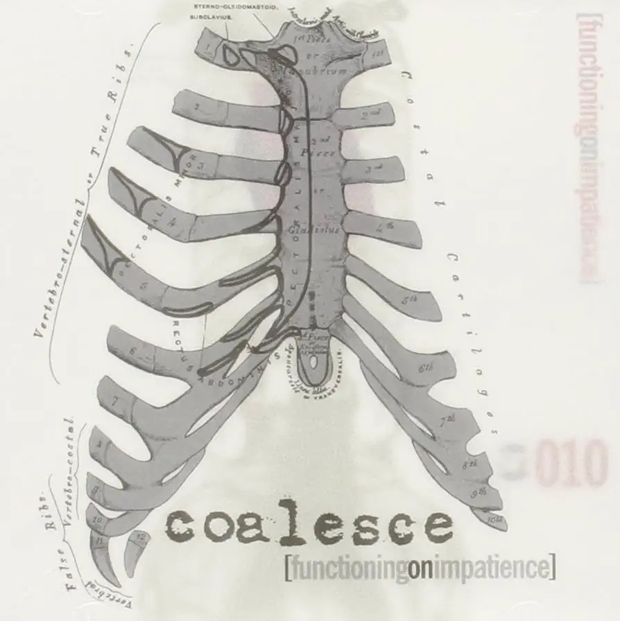 Album artwork for Functioning on Impatience by Coalesce