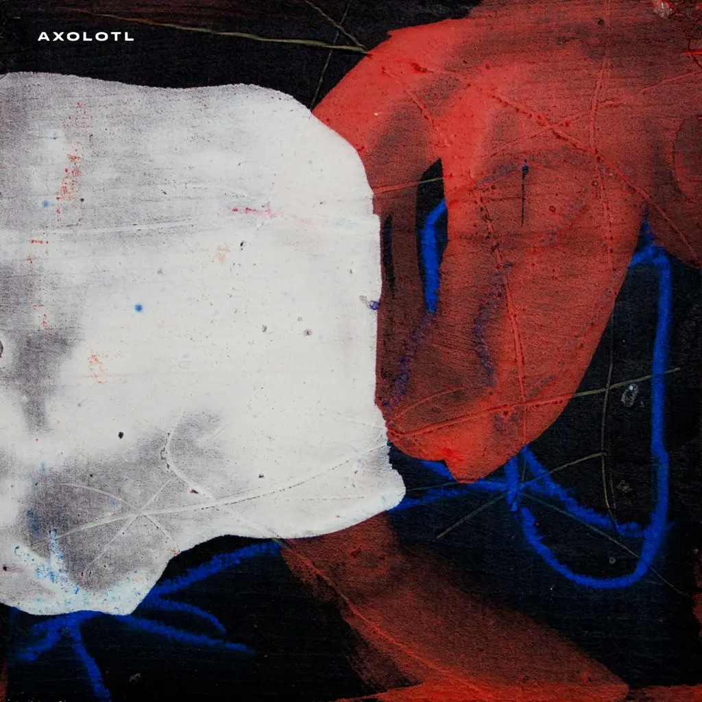 Album artwork for Axolotl by Lotto