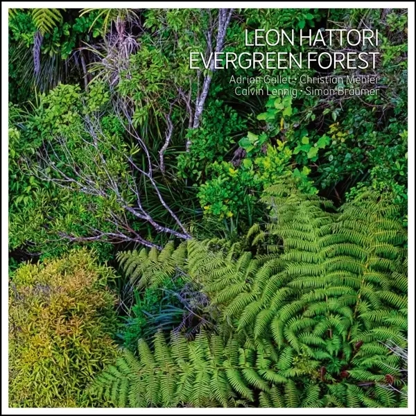 Album artwork for Evergreen Forest by Leon Hattori Quintet
