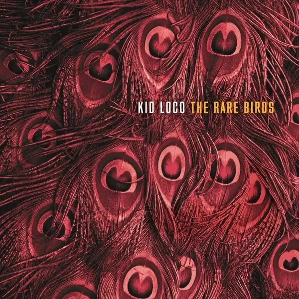 Album artwork for The Rare Birds by Kid Loco