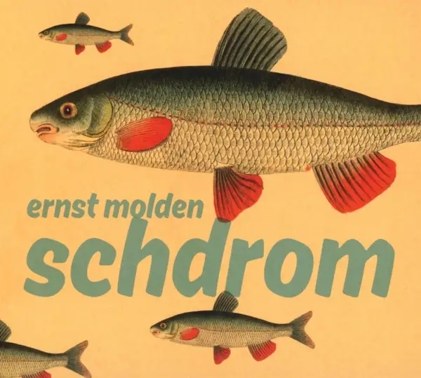 Album artwork for Schdrom by Ernst Molden