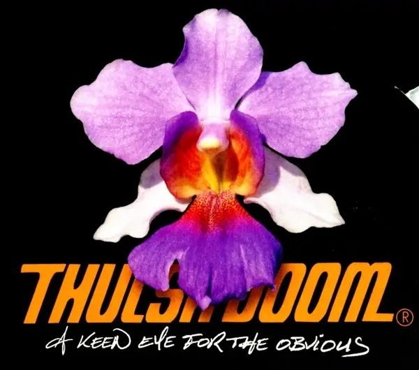 Album artwork for A Keen Eye For The Obvious by Thulsa Doom