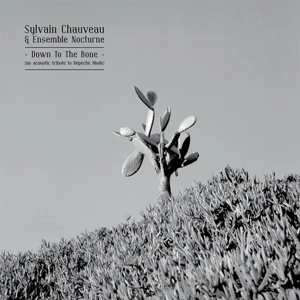 Album artwork for Down To The Bone by Sylvain And Ensemble Nocturne Chauveau