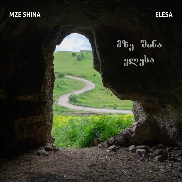 Album artwork for Elesa by Mze Shina