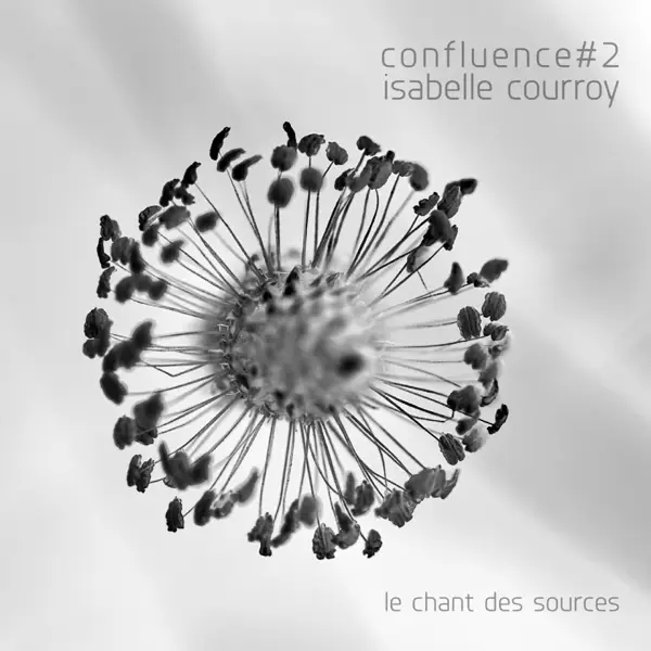 Album artwork for Confluence #2-Le Chant Des Sources by Isabelle Courroy