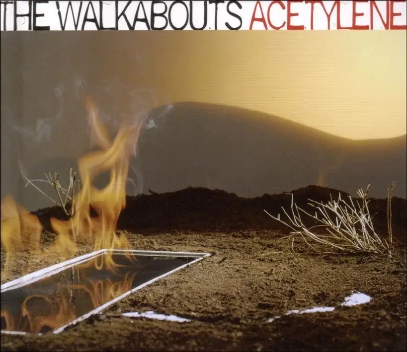 Album artwork for Acetylene by The Walkabouts