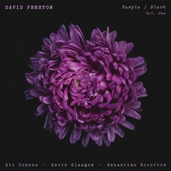 Album artwork for Purple/Black Vol.1 by David Preston